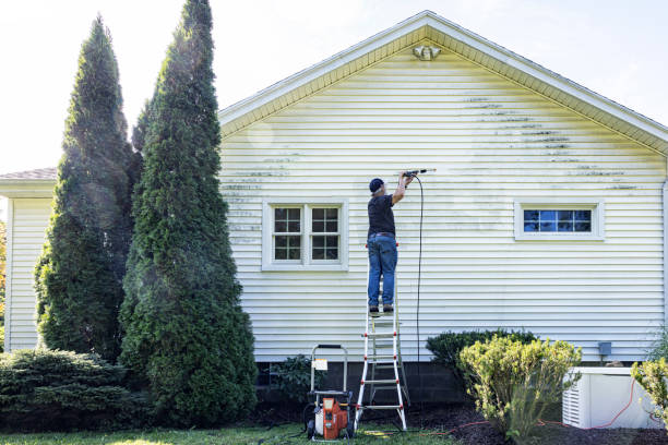 Best Fence Cleaning  in USA